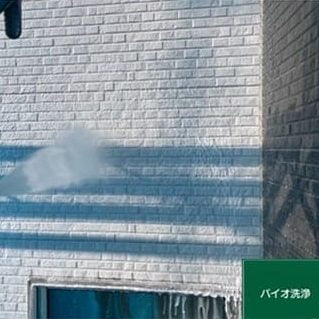 壁バイオ洗浄